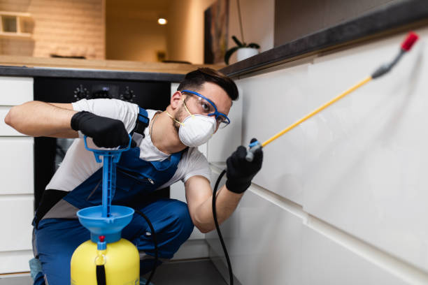 Best Pest Control Treatment  in Southwood Acres, CT