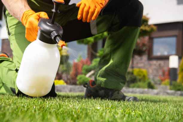 Best Mosquito Control Services  in Southwood Acres, CT