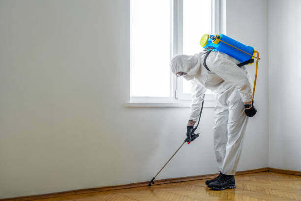 Best Local Pest Control Services  in Southwood Acres, CT