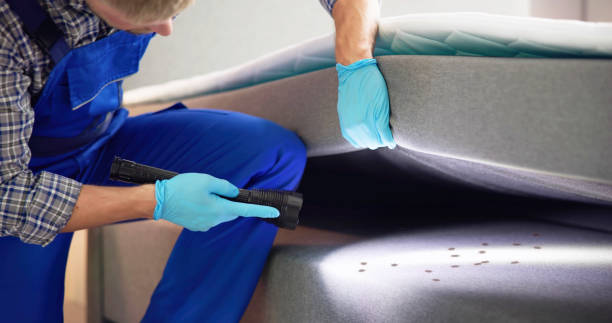 Best Flea Control Services  in Southwood Acres, CT