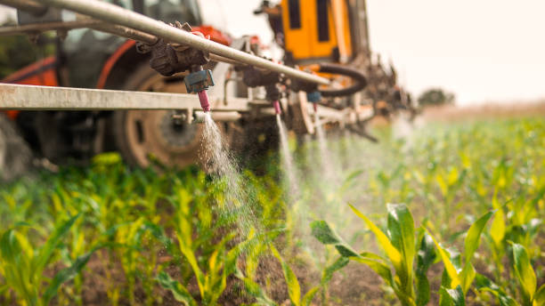 Best Best Pest Control Companies  in Southwood Acres, CT